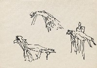 藏品(人物)的圖片