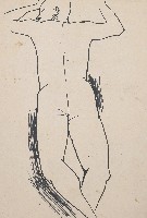 藏品(人體)的圖片