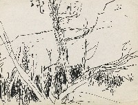 藏品(風景)的圖片