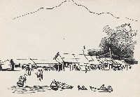 藏品(海灘)的圖片