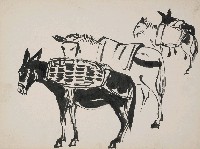 藏品(驢)的圖片