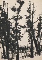 藏品(林間屋)的圖片