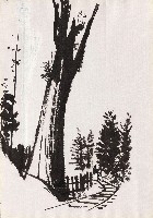 藏品(阿里山神木)的圖片