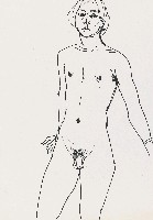 藏品(人體)的圖片
