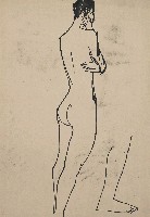 藏品(人體)的圖片