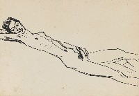 藏品(人體)的圖片