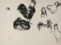 藏品(雞速寫)的圖片