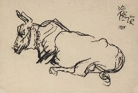 藏品(牛)的圖片