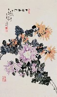 藏品(菊花)的圖片