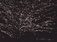 藏品(冬陽)的圖片