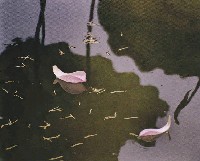 藏品(花落情懷)的圖片