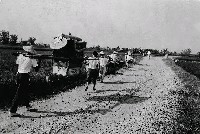 藏品(花轎)的圖片