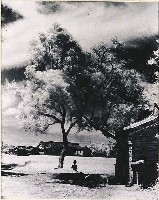 藏品(鄉村一景)的圖片