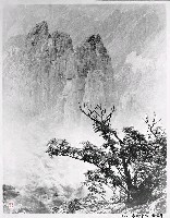 藏品(春樹奇峰)的圖片