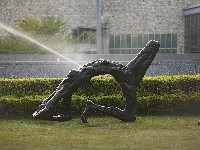 藏品(山)的圖片