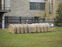 藏品(居位)的圖片