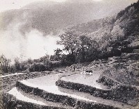 藏品(隴畝春耕白雲來)的圖片