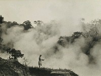 藏品(晨起登山讀．雲深不知處)的圖片