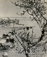 藏品(富春江畔－浙江)的圖片