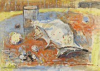 藏品(貝殼)的圖片