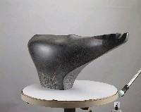 藏品(種牛)的圖片