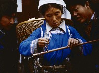 藏品(市場)的圖片