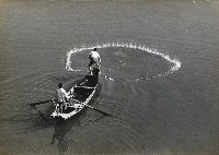 藏品(撤網)的圖片