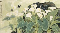 藏品(海芋)的圖片