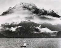 藏品(龍虎鬥)的圖片