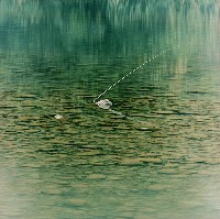 藏品(澄潭一碧)的圖片