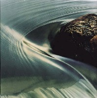 藏品(晴光一林)的圖片