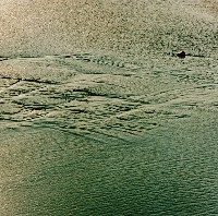 藏品(縷刻履痕)的圖片