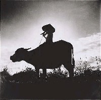 藏品(牧童)的圖片