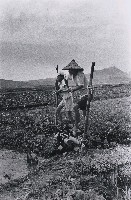 藏品(水車)的圖片