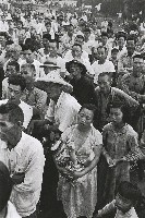 藏品(戲棚下)的圖片