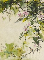 藏品(花)的圖片