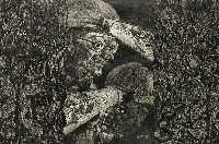 藏品(覓綠)的圖片