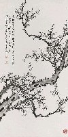 藏品(梅花)的圖片