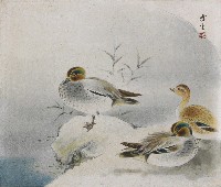 藏品(鴛鴦)的圖片