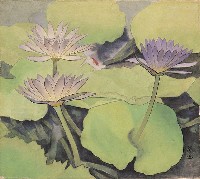 藏品(睡蓮)的圖片