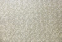 藏品(遨遊四方)的圖片