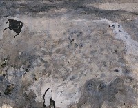 藏品(八方)的圖片