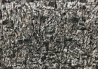 藏品(自然圖象)的圖片