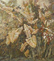 藏品(故里)的圖片