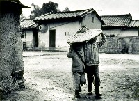 藏品(兄弟(No.37))的圖片