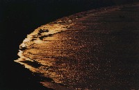 藏品(金海)的圖片