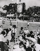 藏品(投籃競賽)的圖片