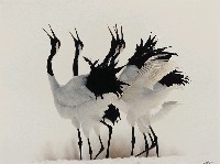 藏品(丹頂鶴(爭鳴))的圖片