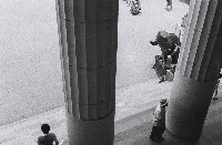 藏品(動.物(No1))的圖片