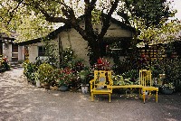 藏品(黃椅子)的圖片